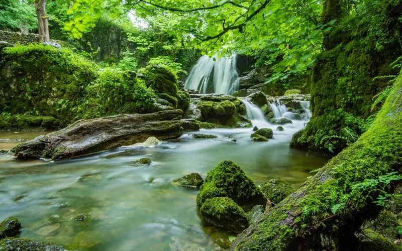 精密高端